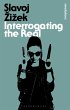 Interrogating the Real (eBook, ePUB) - Bild 1