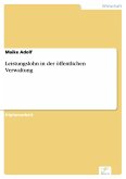 Leistungslohn in der öffentlichen Verwaltung (eBook, PDF)