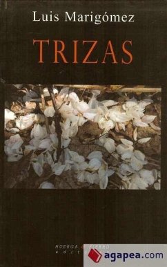 Trizas - Marigómez, Luis