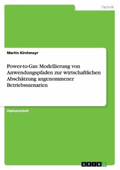 Power-to-Gas: Modellierung von Anwendungspfaden zur wirtschaftlichen Abschätzung angenommener Betriebsszenarien - Kirchmayr, Martin