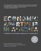 Economic Apartheid In America (eBook, ePUB)