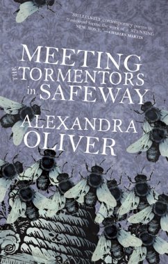 Cover Meeting the Tormentors in Safeway (eBook, ePUB)