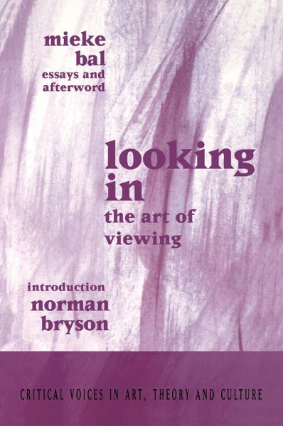 Looking In (eBook, PDF)