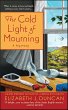 The Cold Light of Mourning (eBook, ePUB) - Bild 1