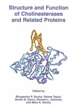 Structure and Function of Cholinesterases and Related Proteins