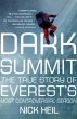 Dark Summit (eBook, ePUB) - Bild 1