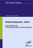 Resafa-Sergiupolis / Syrien: Dokumentation der Erhaltungsmaßnahmen an der Stadtmauer (eBook, PDF)