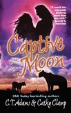 Captive Moon (eBook, ePUB)