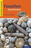 Fossilien bestimmen KOMPAKT