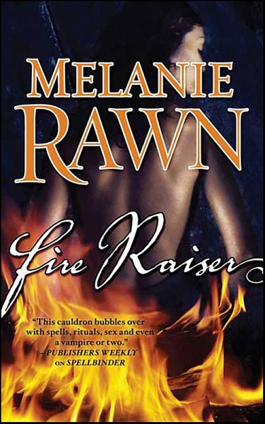 Fire Raiser (eBook, ePUB)