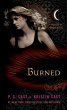 Burned (eBook, ePUB) - Bild 1
