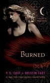 Burned (eBook, ePUB)