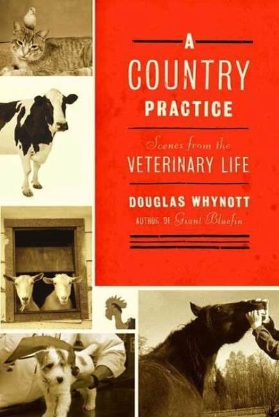 A Country Practice (eBook, ePUB) A Country Practice (eBook, ePUB)