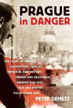 Prague in Danger (eBook, ePUB) - Demetz, Peter