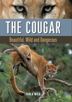 The Cougar (eBook, ePUB) - Wild, Paula