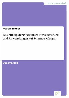 Das Prinzip der eindeutigen Fortsetzbarkeit und Anwendungen auf Symmetriefragen (eBook, PDF) - Zeidler, Martin