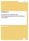 Systematischer Überblick über Förderungsmöglichkeiten für Unternehmen in der BRD (eBook, PDF)