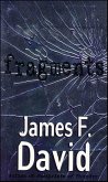 Fragments (eBook, ePUB)