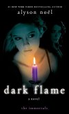 Dark Flame (eBook, ePUB)