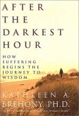 After the Darkest Hour (eBook, ePUB)