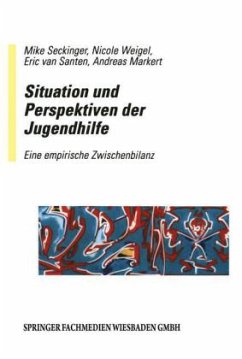 Situation und Perspektiven der Jugendhilfe - Seckinger, Mike