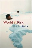 World at Risk (eBook, ePUB)