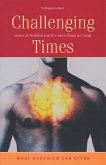 Challenging Times (eBook, ePUB)