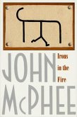 Irons in the Fire (eBook, ePUB)