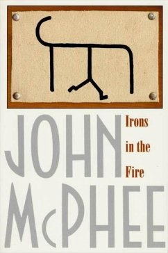 Irons in the Fire (eBook, ePUB) - Mcphee, John