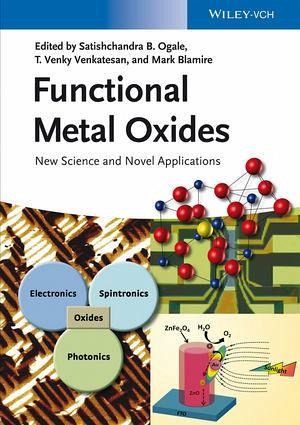 Functional Metal Oxides (eBook, PDF)