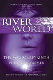 The Magic Labyrinth (eBook, ePUB)