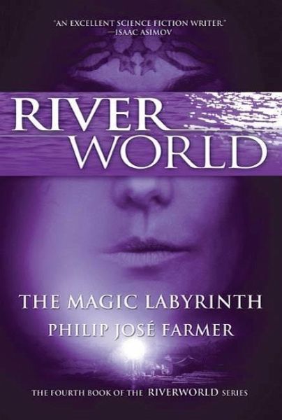 The Magic Labyrinth (eBook, ePUB) The Magic Labyrinth (eBook, ePUB)