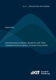 Uncertainties in energy markets and their consideration in energy storage evaluation Uncertainties in energy markets and their consideration in energy storage evaluation