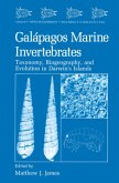 Galápagos Marine Invertebrates