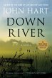 Down River (eBook, ePUB) - Bild 1