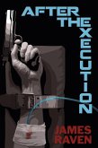 After the Execution (eBook, ePUB)