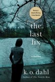 The Last Fix (eBook, ePUB)