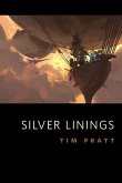 Silver Linings (eBook, ePUB)