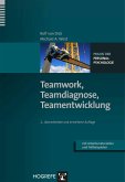 Teamwork, Teamdiagnose, Teamentwicklung (eBook, ePUB)