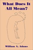 What Does It All Mean? (eBook, ePUB)