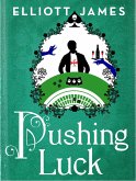 Pushing Luck (eBook, ePUB)
