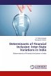 Determinants of Financial Inclusion:... - Bild 1