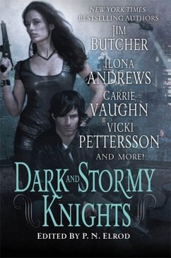 Cover Dark and Stormy Knights (eBook, ePUB)