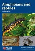 Amphibians and reptiles (eBook, ePUB)