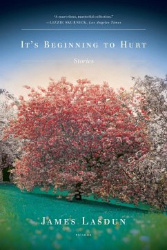 It's Beginning to Hurt (eBook, ePUB) - Lasdun, James