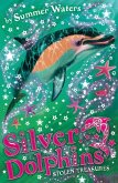 Stolen Treasures (Silver Dolphins, Book 3) (eBook, ePUB)