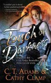 Touch of Darkness (eBook, ePUB)