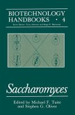 Saccharomyces