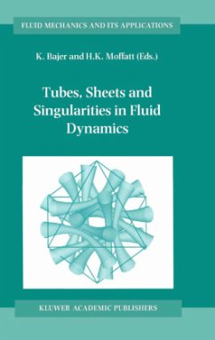 Tubes, Sheets and Singularities in Fluid Dynamics