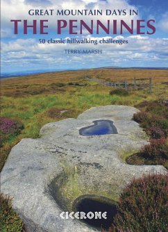 Great Mountain Days in the Pennines (eBook, ePUB) - Marsh, Terry